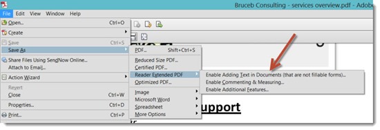Acrobat X - using the typewriter tool - save Reader Extended PDF