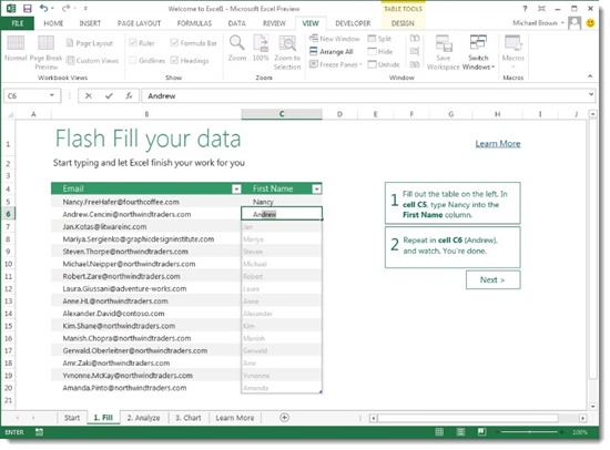 Office 2013 - Excel - form fill