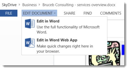 Skydrive - Office web app editing choices