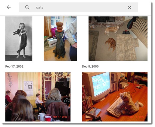 Google Photos - searching for cats