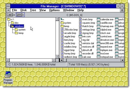 Windows 3.1 File Manager