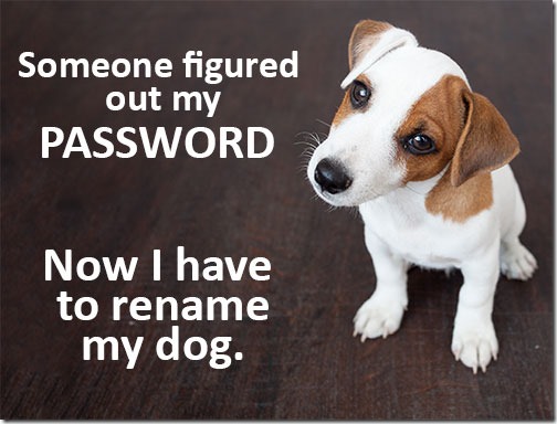 Someone figured out my password - now I have to rename my dog